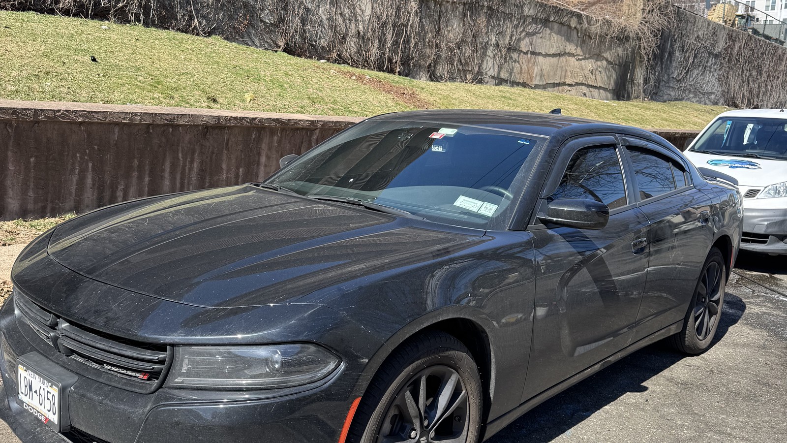 Ceramic Coating by 31 Auto Detailing in North Jersey